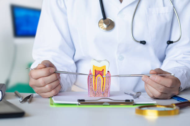 Best Emergency Dental Services for Seniors in Friendship Heights Village, MD